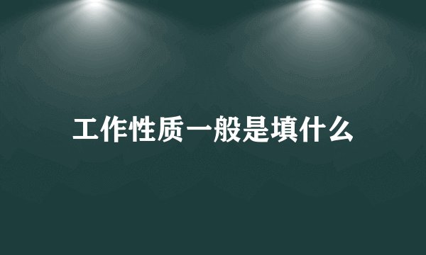 工作性质一般是填什么