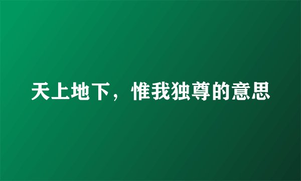 天上地下，惟我独尊的意思