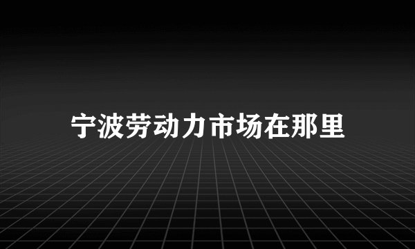 宁波劳动力市场在那里