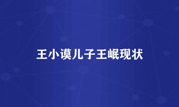 王小谟儿子王岷现状