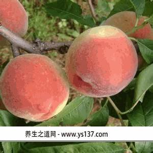 营口的知名人物
