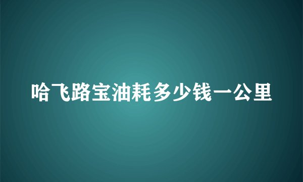 哈飞路宝油耗多少钱一公里