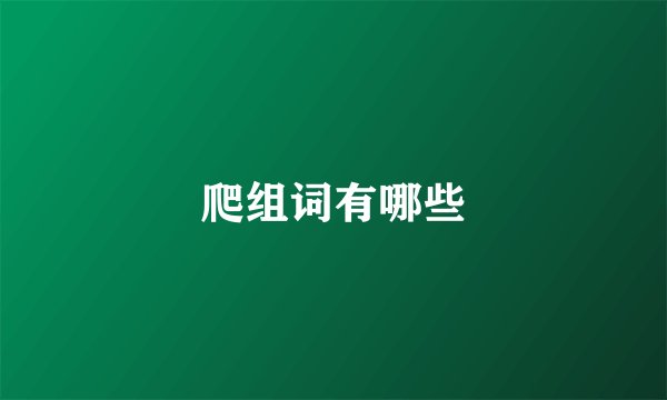 爬组词有哪些