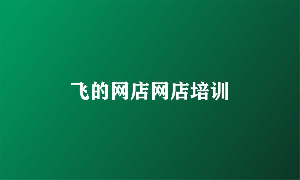 飞的网店网店培训