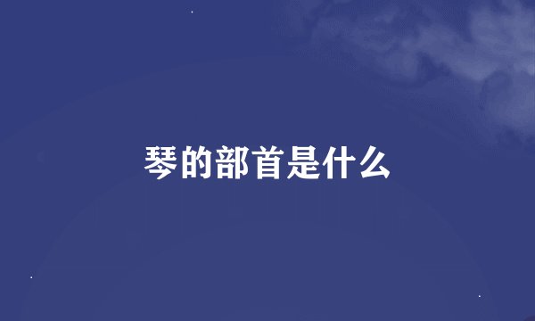 琴的部首是什么