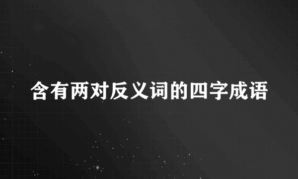 含有两对反义词的四字成语