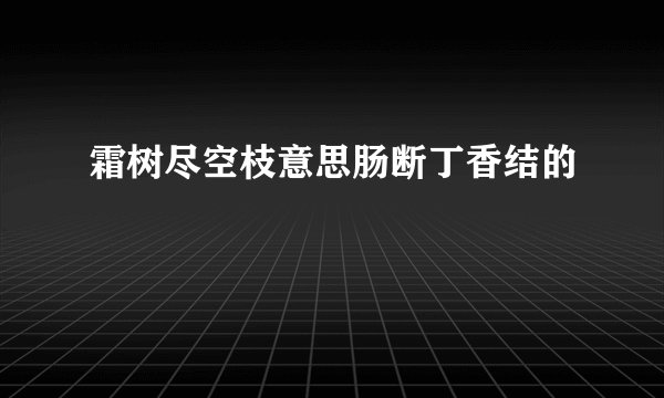 霜树尽空枝意思肠断丁香结的