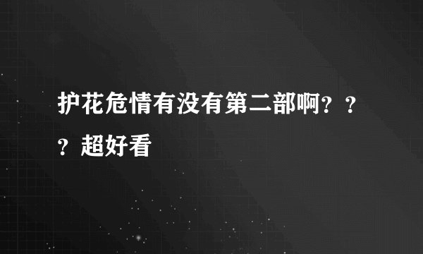 护花危情有没有第二部啊？？？超好看