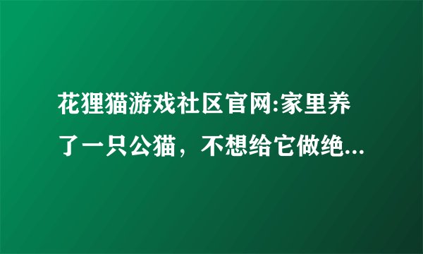 花狸猫游戏社区官网:家里养了一只公猫，不想给它做绝育的话，可以养个母猫陪它吗？