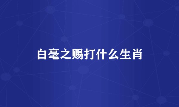 白毫之赐打什么生肖