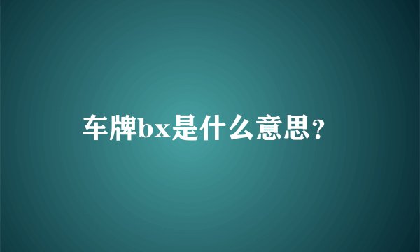 车牌bx是什么意思?