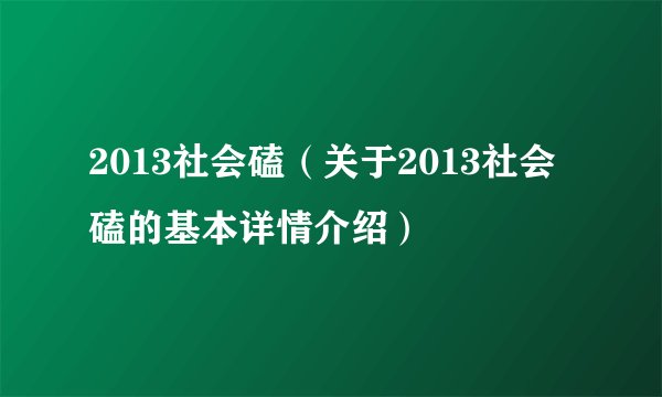 2013社会磕（关于2013社会磕的基本详情介绍）