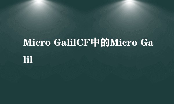 Micro GalilCF中的Micro Galil