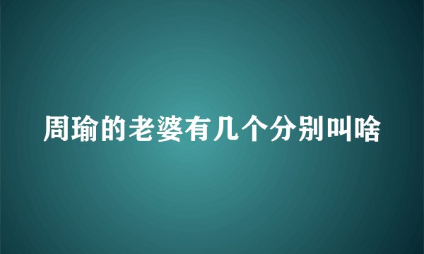 周瑜的老婆有几个分别叫啥