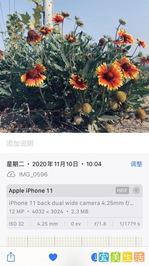 ios15 很棒，但目前不推荐升级