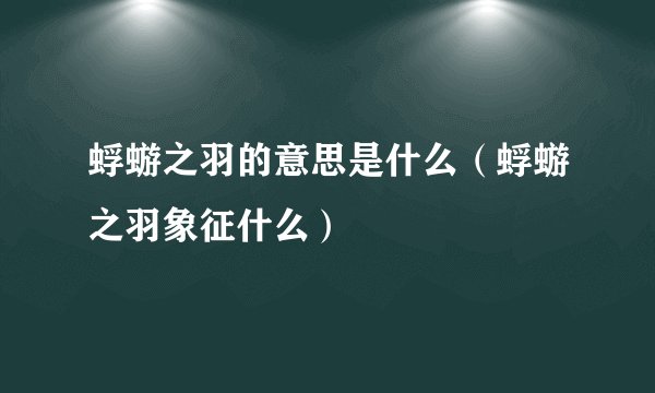 蜉蝣之羽的意思是什么（蜉蝣之羽象征什么）
