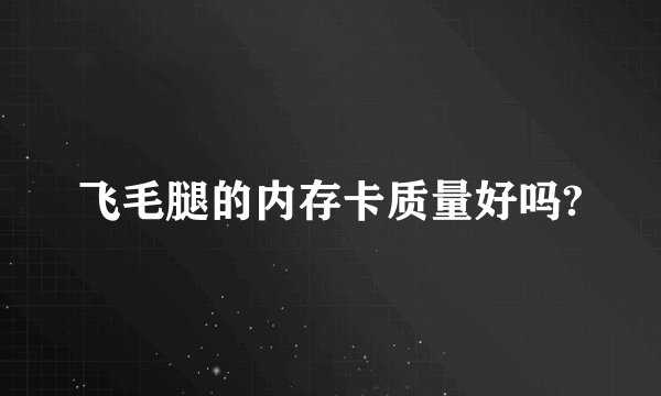 飞毛腿的内存卡质量好吗?