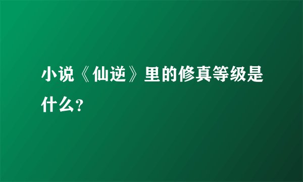 小说《仙逆》里的修真等级是什么？