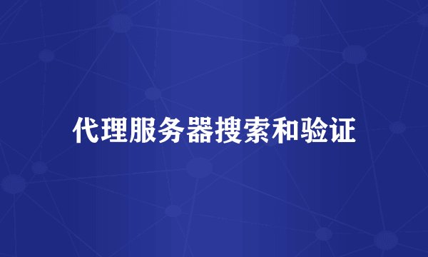 代理服务器搜索和验证