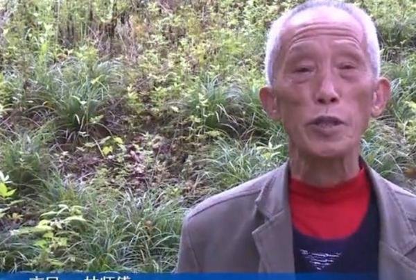 江边散步被蛇咬,女子被送到医院,医生看伤口后惊呼:你命真大