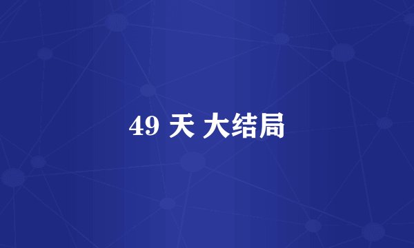 49 天 大结局