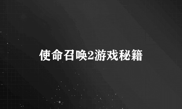 使命召唤2游戏秘籍