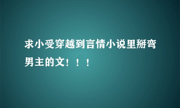 求小受穿越到言情小说里掰弯男主的文！！！