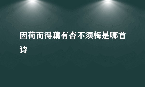 因荷而得藕有杏不须梅是哪首诗