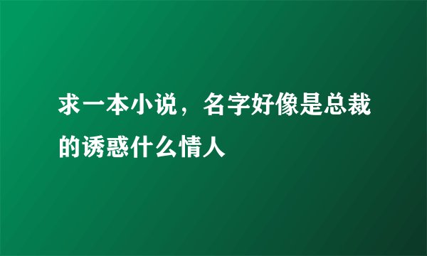 求一本小说，名字好像是总裁的诱惑什么情人