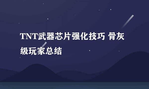 TNT武器芯片强化技巧 骨灰级玩家总结
