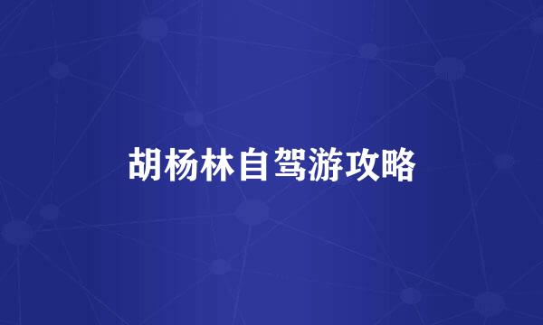 胡杨林自驾游攻略