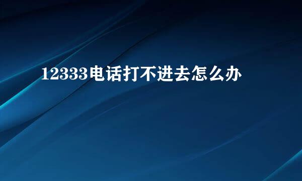 12333电话打不进去怎么办