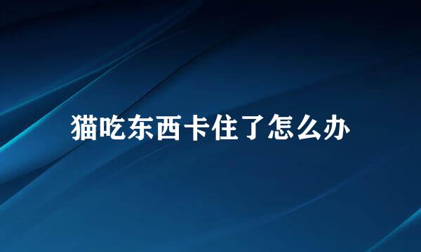 猫吃东西卡住了怎么办