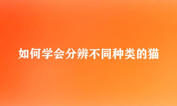 如何学会分辨不同种类的猫