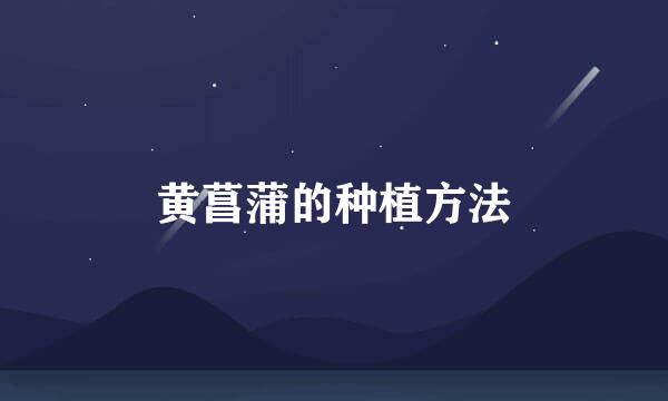 黄菖蒲的种植方法