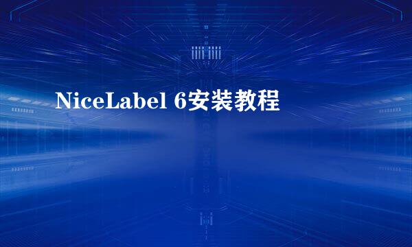 NiceLabel 6安装教程