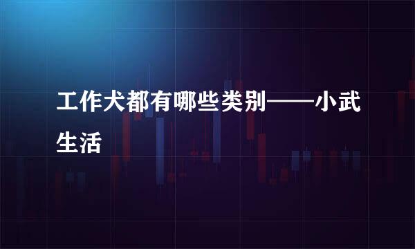 工作犬都有哪些类别——小武生活