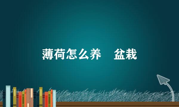 薄荷怎么养 盆栽