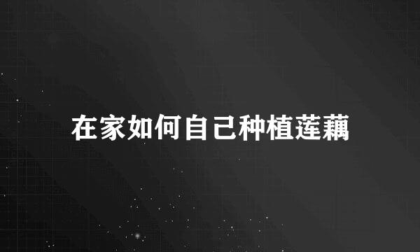 在家如何自己种植莲藕