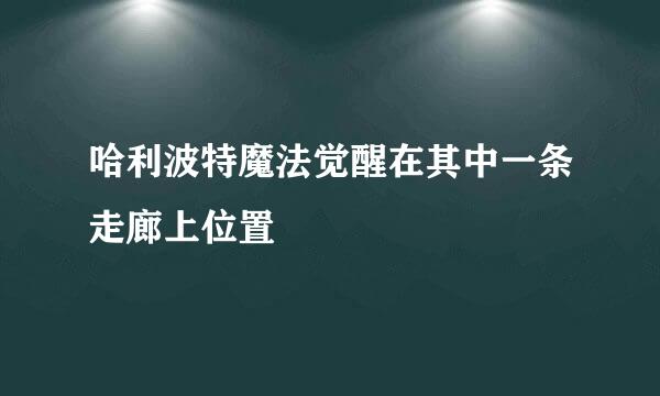 哈利波特魔法觉醒在其中一条走廊上位置