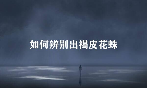 如何辨别出褐皮花蛛