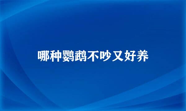 哪种鹦鹉不吵又好养