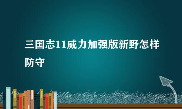 三国志11威力加强版新野怎样防守