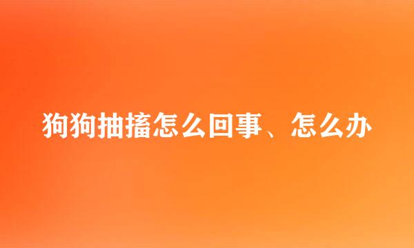 狗狗抽搐怎么回事、怎么办