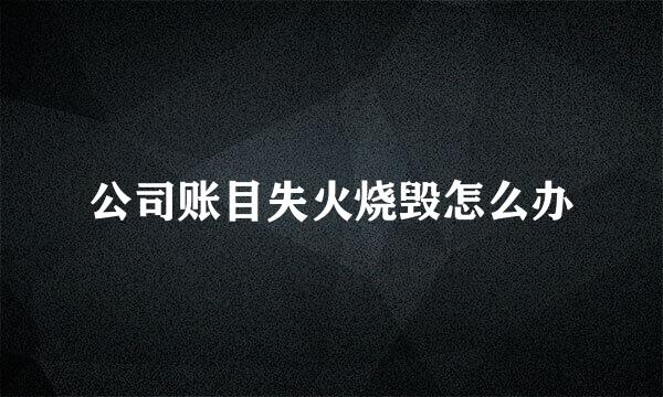 公司账目失火烧毁怎么办