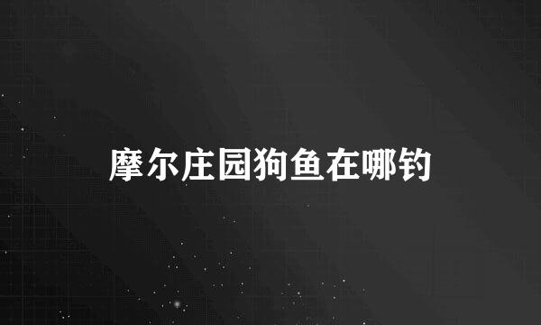 摩尔庄园狗鱼在哪钓