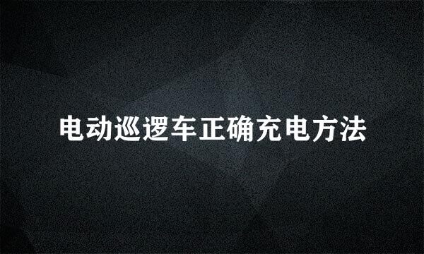 电动巡逻车正确充电方法