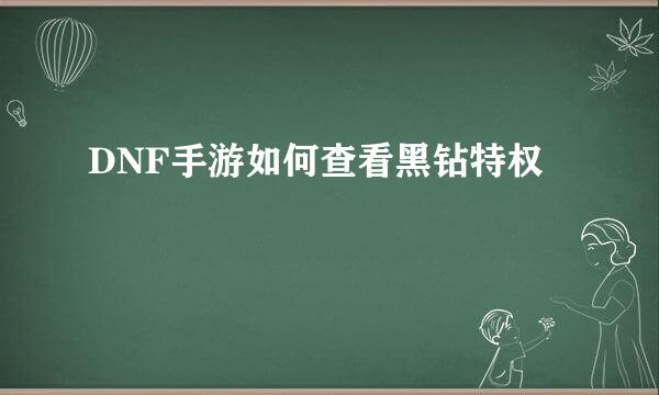 DNF手游如何查看黑钻特权