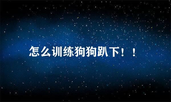 怎么训练狗狗趴下！！