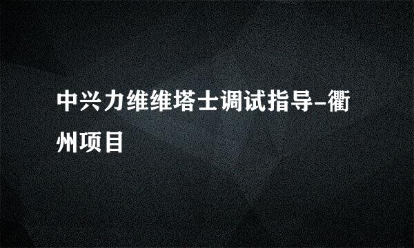 中兴力维维塔士调试指导-衢州项目